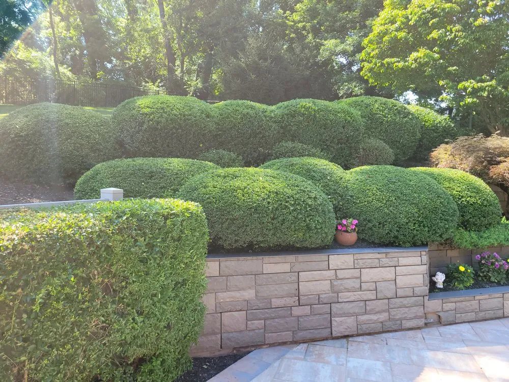 Top-rated landscaping services experts serving West Grove, PA - Trevol Lawn General Services