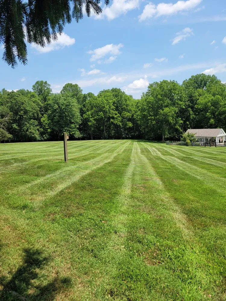 Trusted yard cleanup service in West Grove, PA by Trevol Lawn General Services