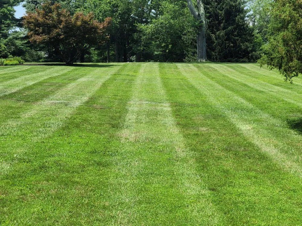 Top-rated lawn mowing service in West Grove, PA by Trevol Lawn General Services
