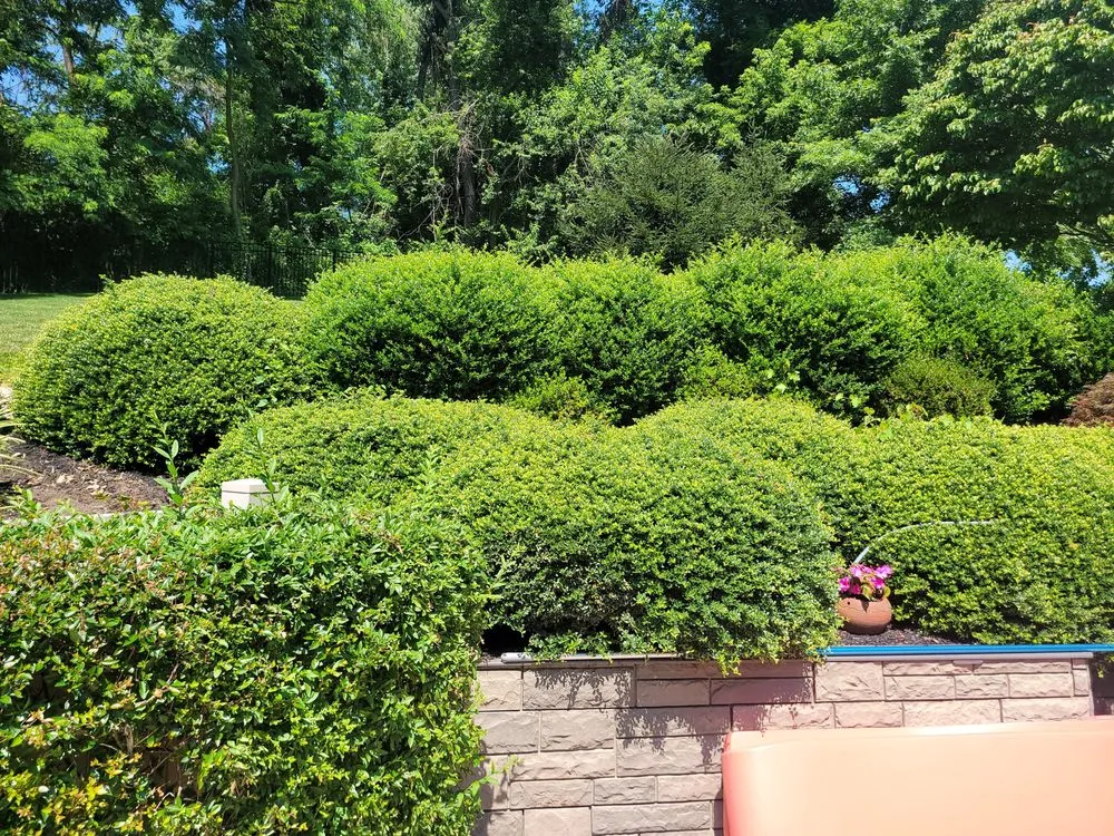 Trusted garden landscaping with custom design in West Grove, PA by Trevol Lawn General Services