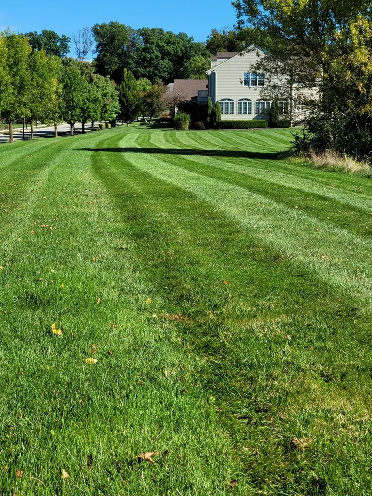 Top-rated lawn care service experts serving West Grove, PA - Trevol Lawn General Services