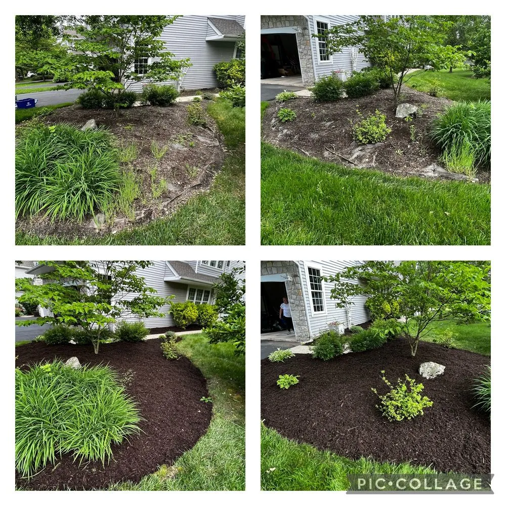 Affordable garden landscaping in Pottstown, PA by Trevor Murphy
