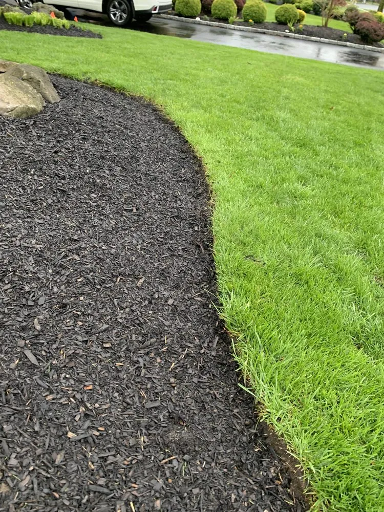 Local yard maintenance experts serving Pottstown, PA - Trevor Murphy