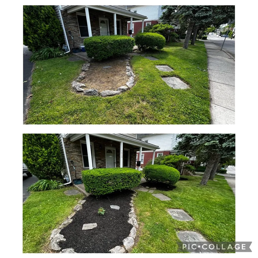 Top-rated residential landscaping near you in Pottstown, PA by Trevor Murphy