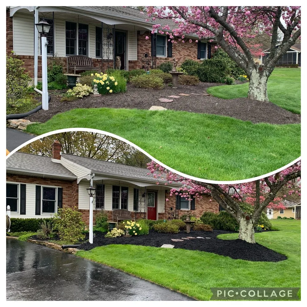 Expert landscaping services in Pottstown, PA by Trevor Murphy