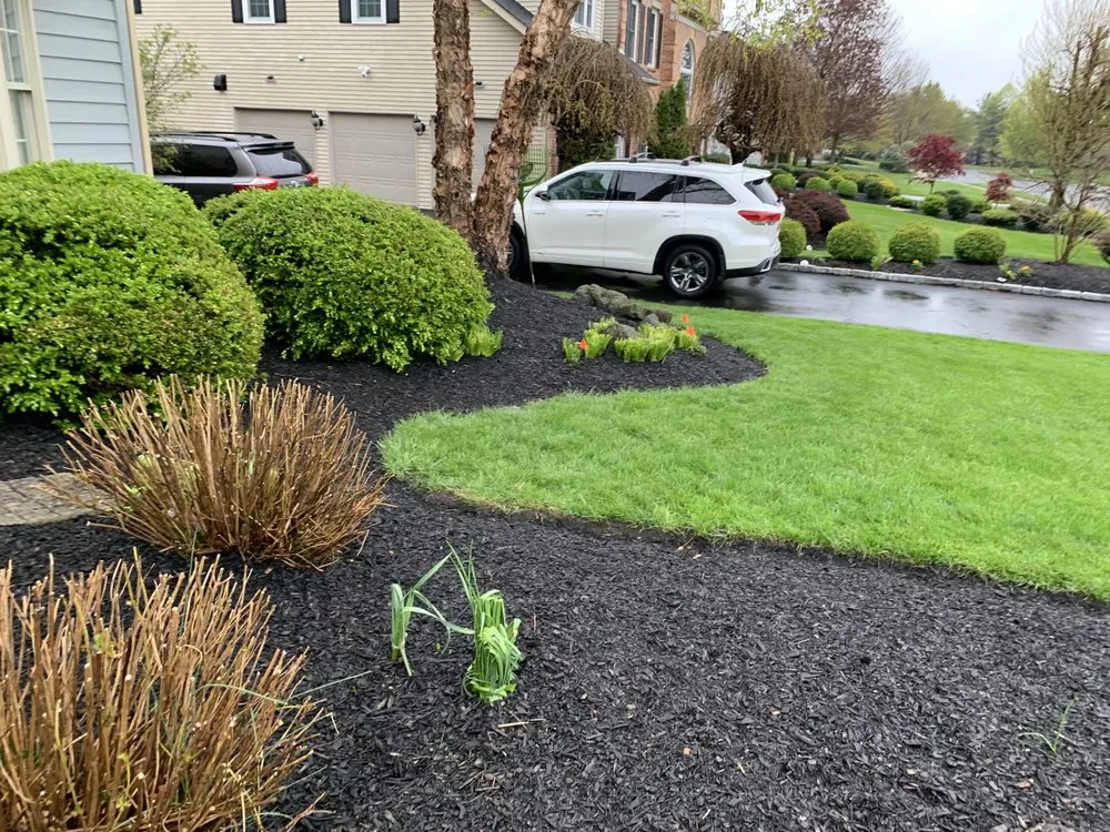 Affordable landscape installation for residential properties across Pottstown, PA - Trevor Murphy