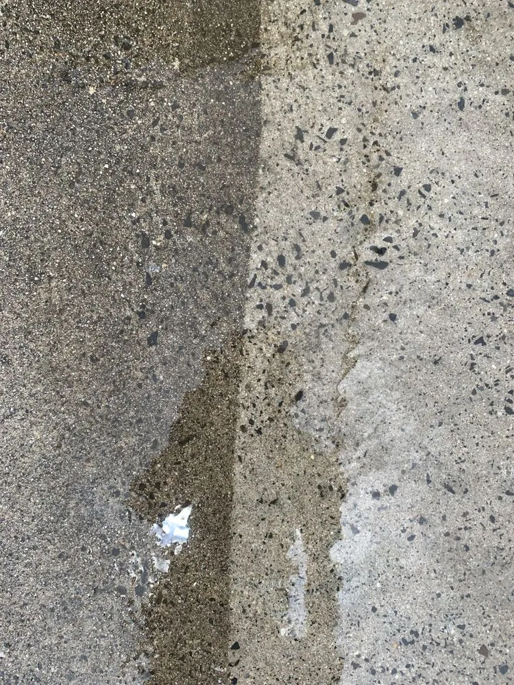 Expert landscaping services for year-round maintenance in Pottstown, PA by Trevor Murphy