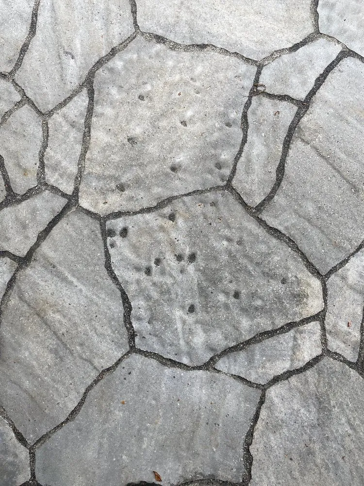 Local yard cleanup service for homes across Frenchtown, NJ - Trevors Landscaping