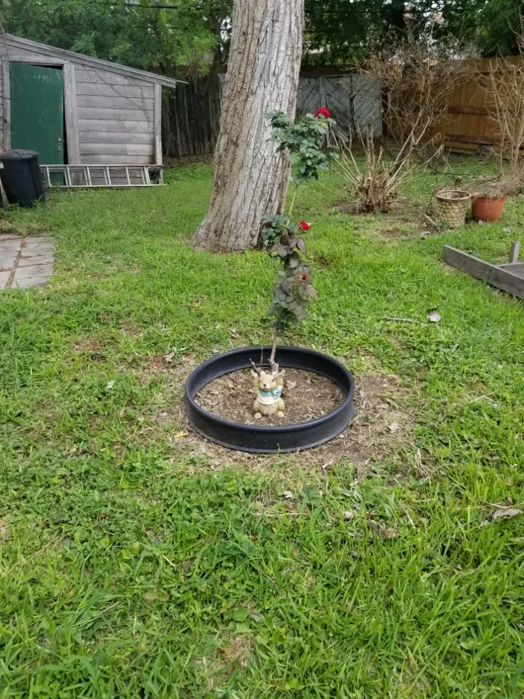 Local landscaping services experts serving Portland, TX - Trevor’s Lawn Care