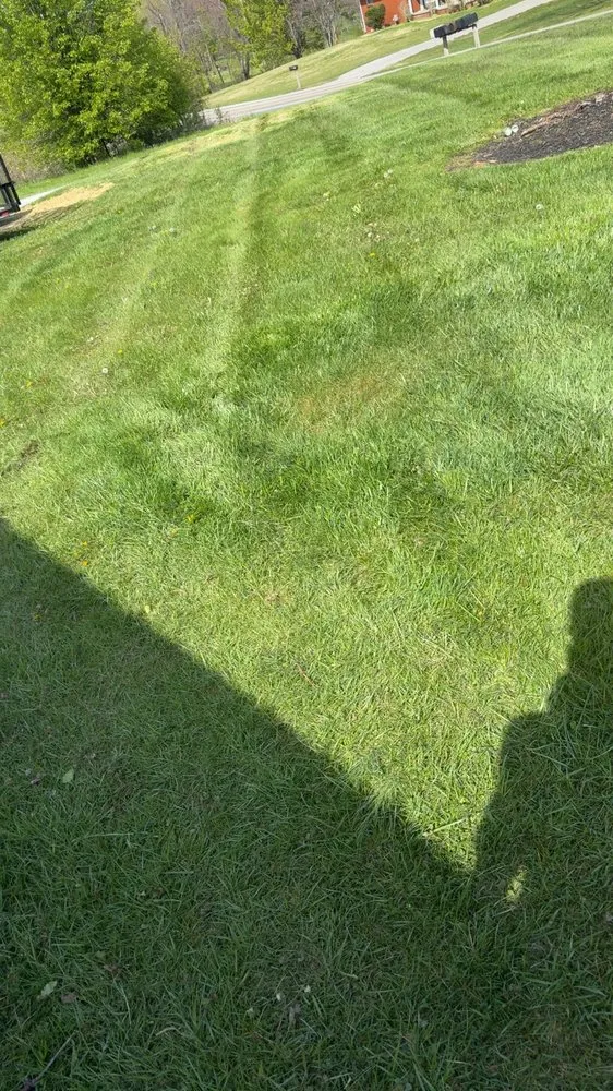 Custom landscape design experts serving London, KY - Trevor’s Mowing and Landscaping