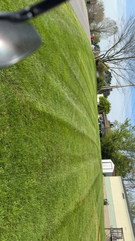 Expert yard cleanup service experts serving London, KY - Trevor’s Mowing and Landscaping