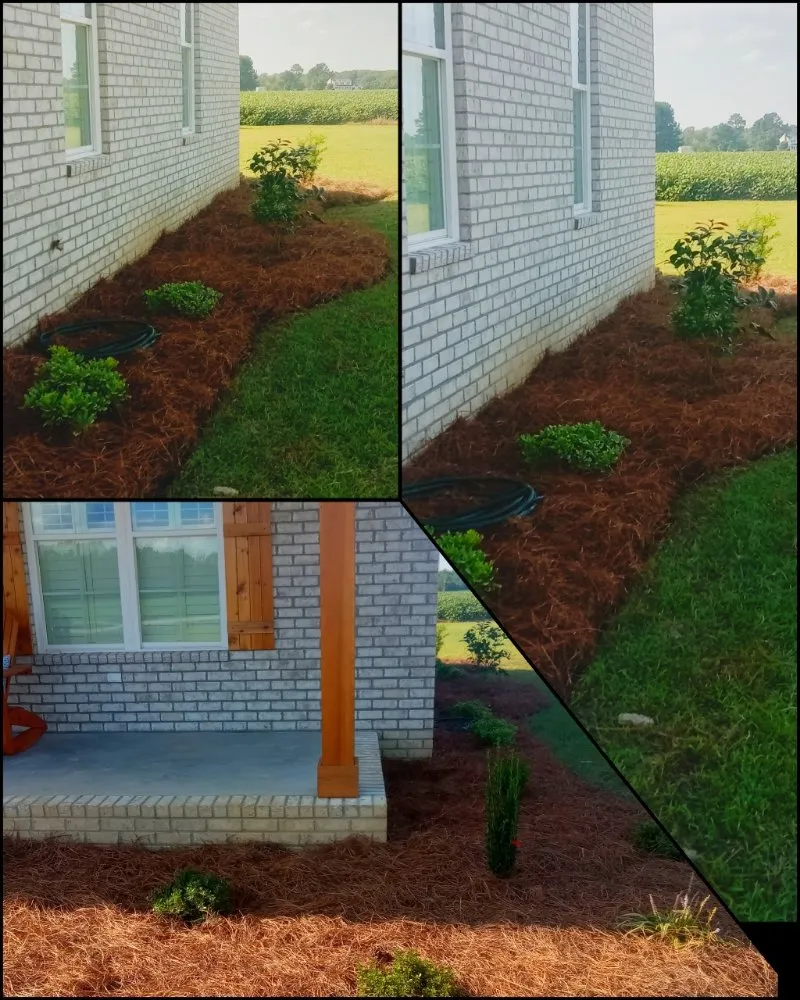 Local lawn mowing service in Scranton, SC - Trey And J's Done Right Services