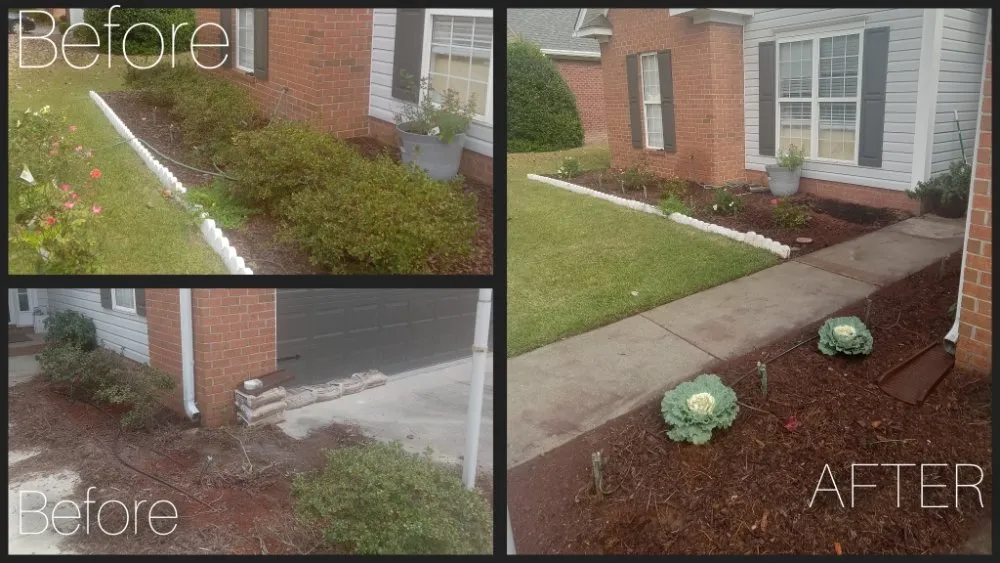 Affordable landscape design for year-round maintenance across Scranton, SC - Trey And J's Done Right Services