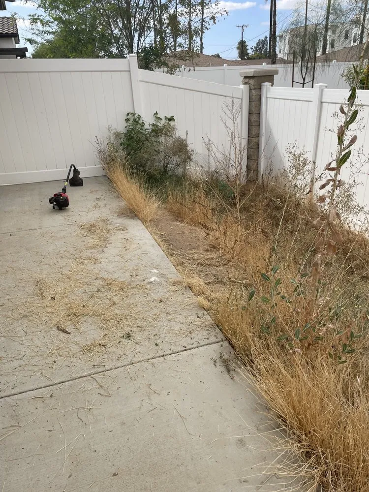 Trusted landscaping services experts serving San Jacinto, CA - Trey Can Do It All