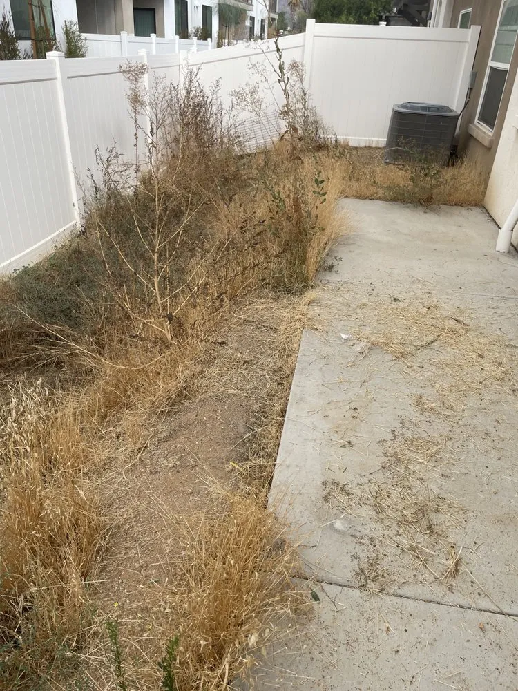 Professional landscaping services experts serving San Jacinto, CA - Trey Can Do It All