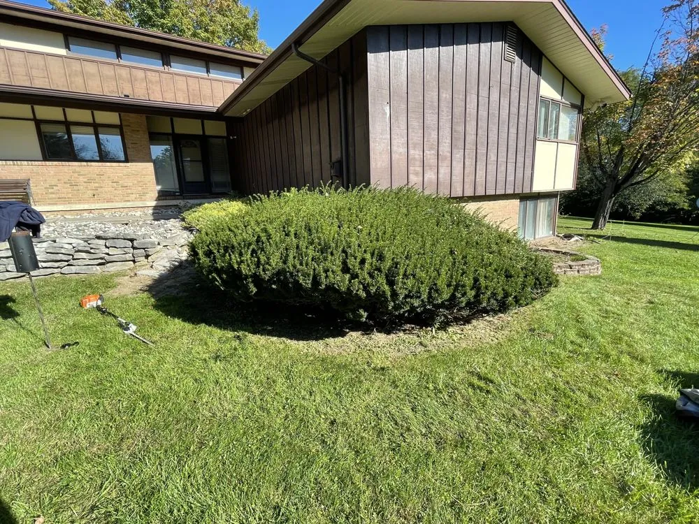 Professional yard cleanup service near you in Flint, MI by Trey’ s landscape