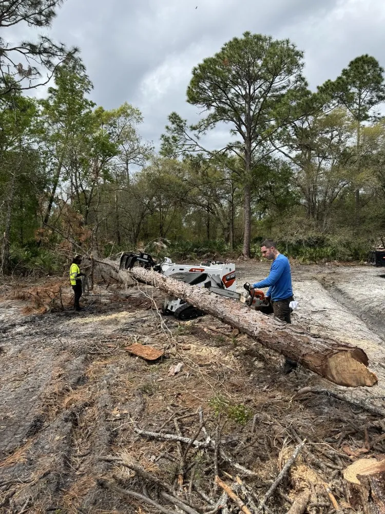 Trusted landscaping services for outdoor upgrades across Orlando, FL - Trey’s Allscape Services