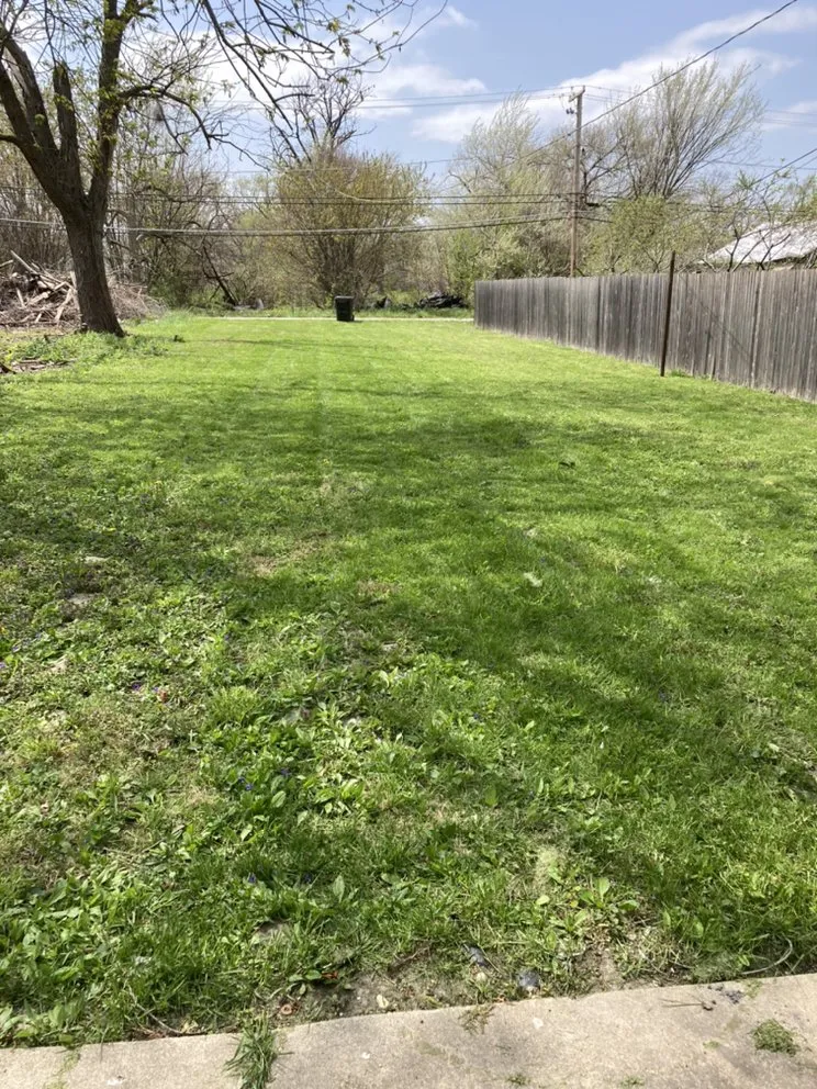 Local landscape design experts serving Chicago, IL - Trey’s Klean Kut