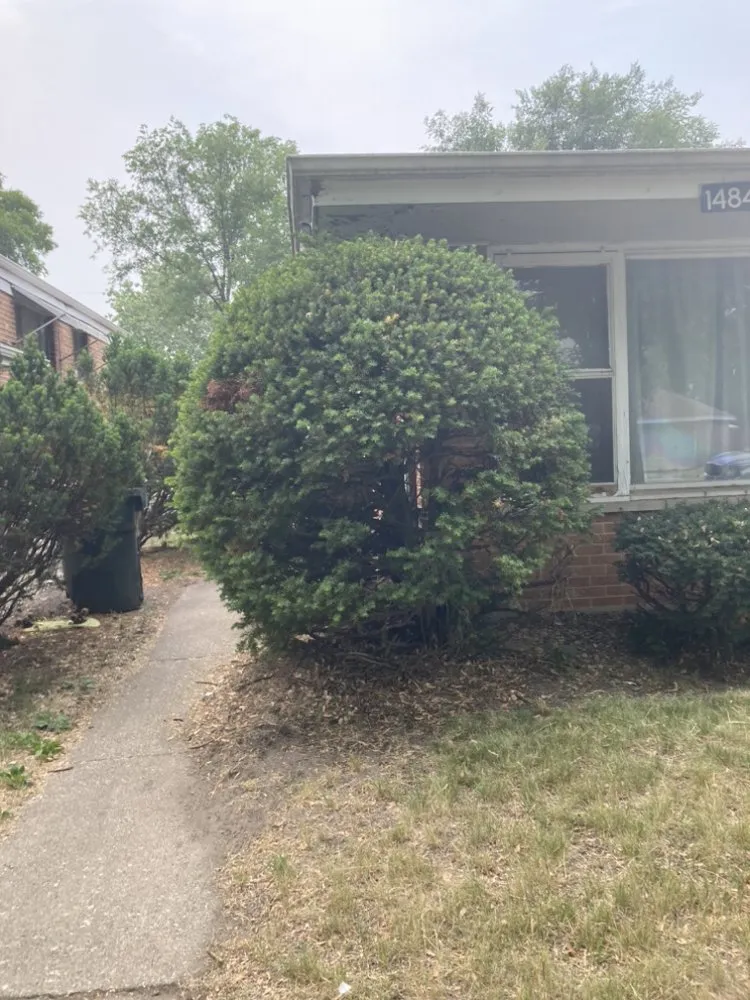 Top-rated garden landscaping experts serving Chicago, IL - Trey’s Klean Kut