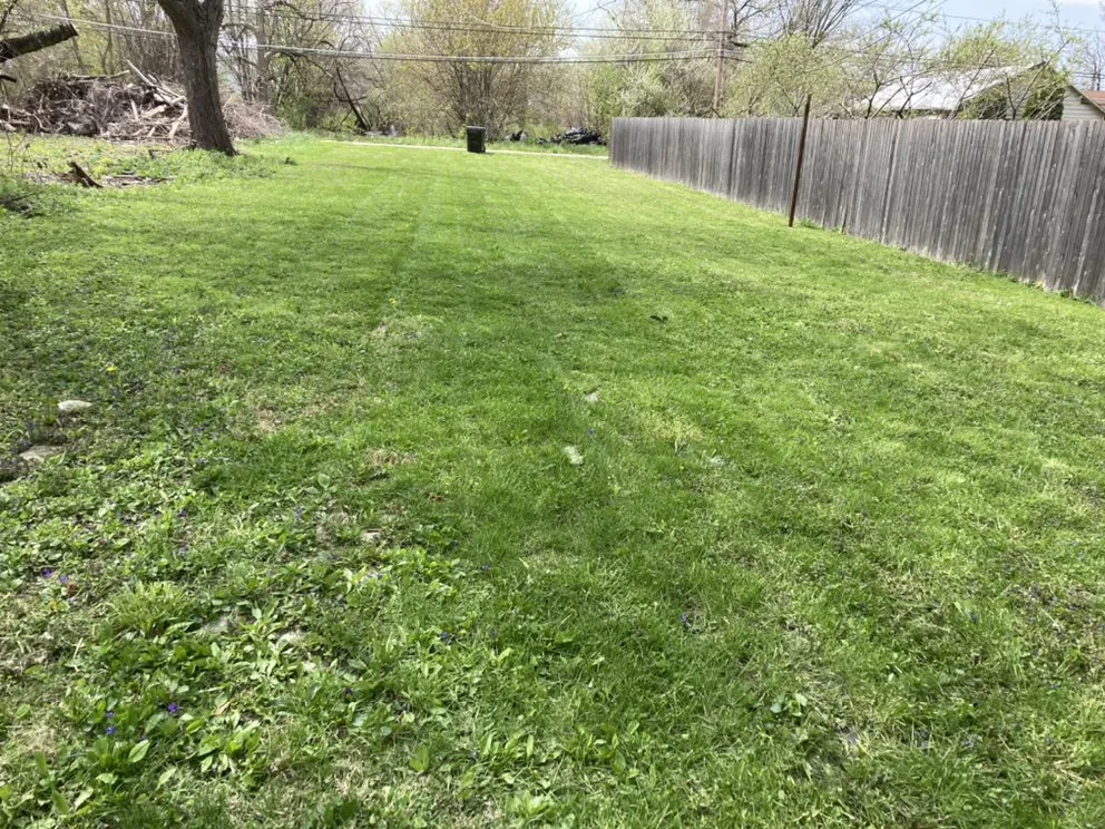 Trusted yard cleanup service for beautiful yards in Chicago, IL by Trey’s Klean Kut
