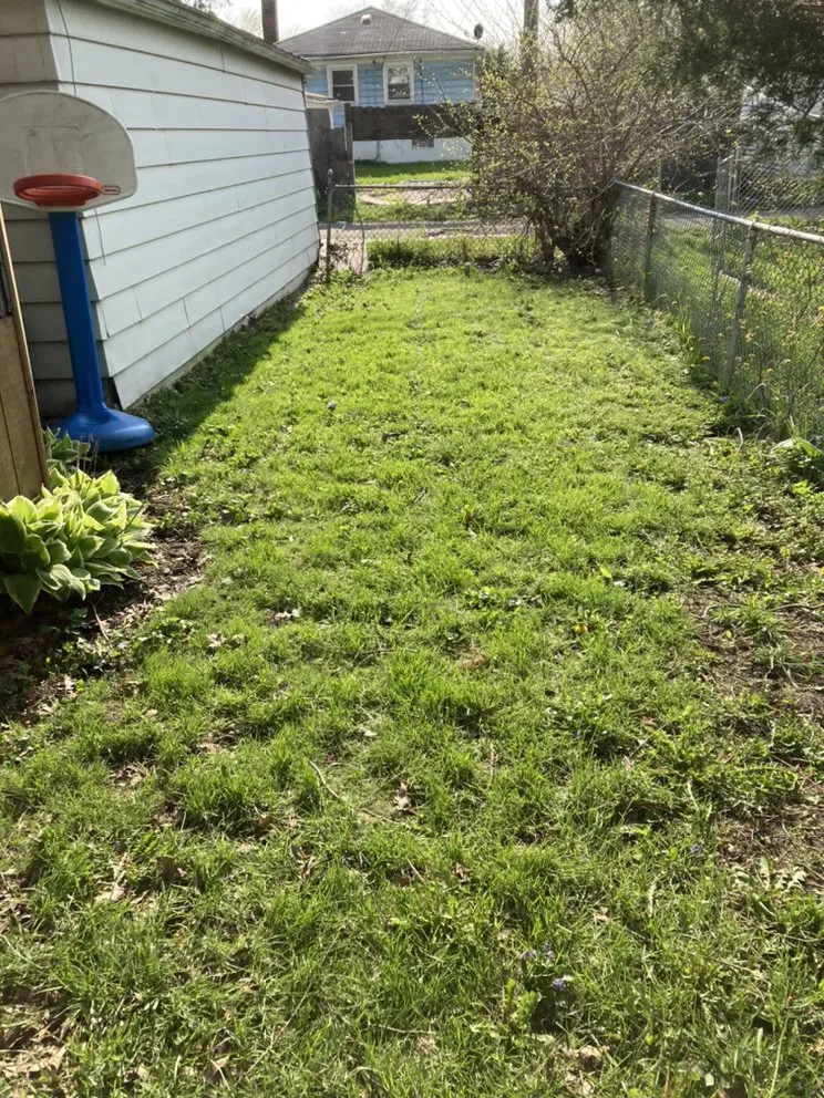 Custom lawn care service in Chicago, IL by Trey’s Klean Kut