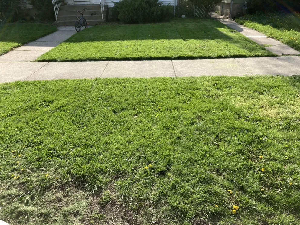 Expert landscaping services for outdoor upgrades in Chicago, IL by Trey’s Klean Kut