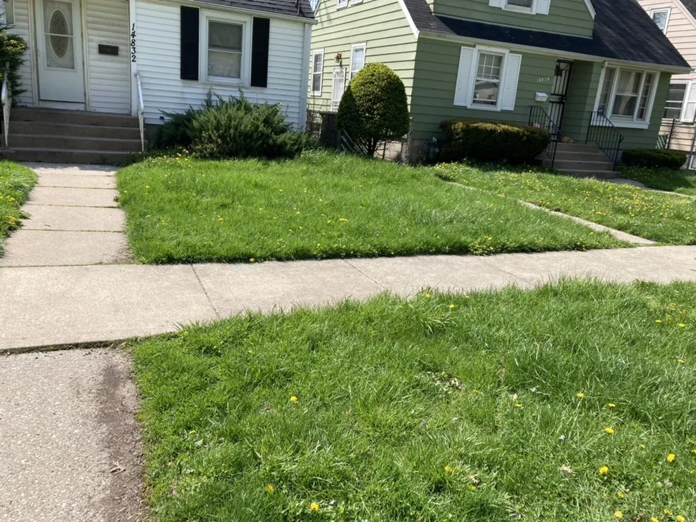 Affordable yard maintenance experts serving Chicago, IL - Trey’s Klean Kut