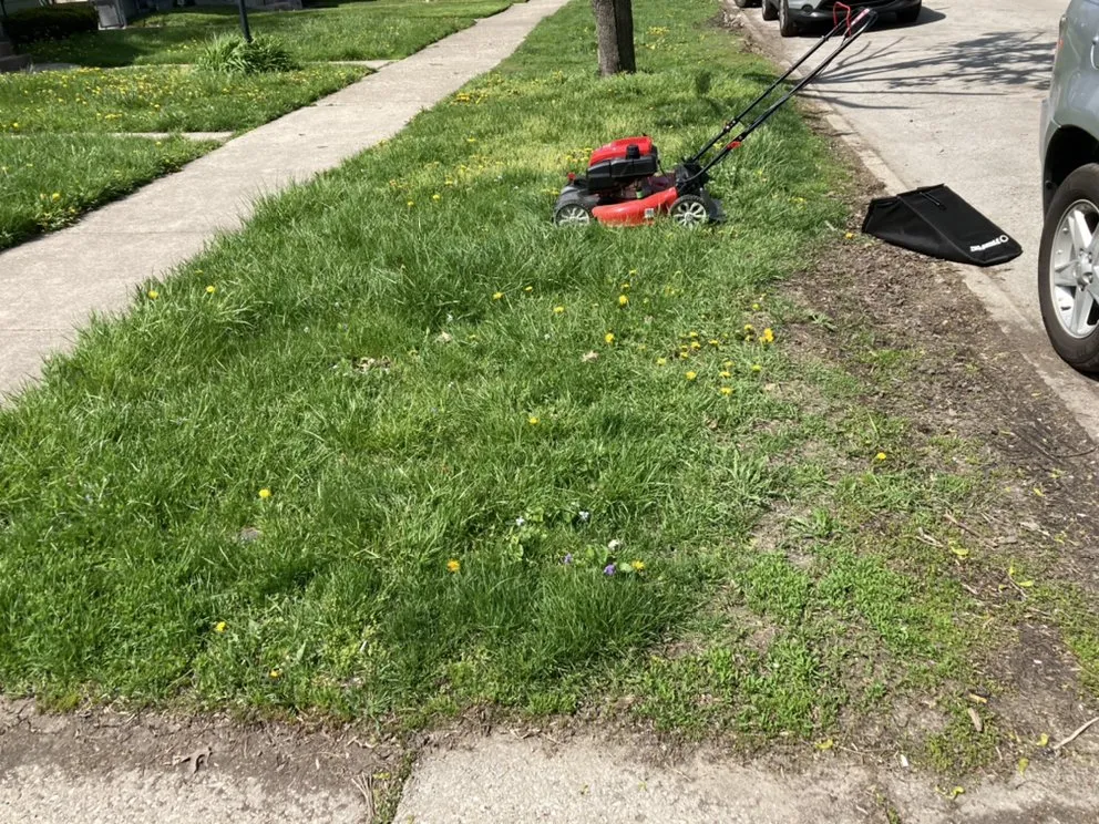 Affordable yard maintenance for outdoor upgrades in Chicago, IL by Trey’s Klean Kut