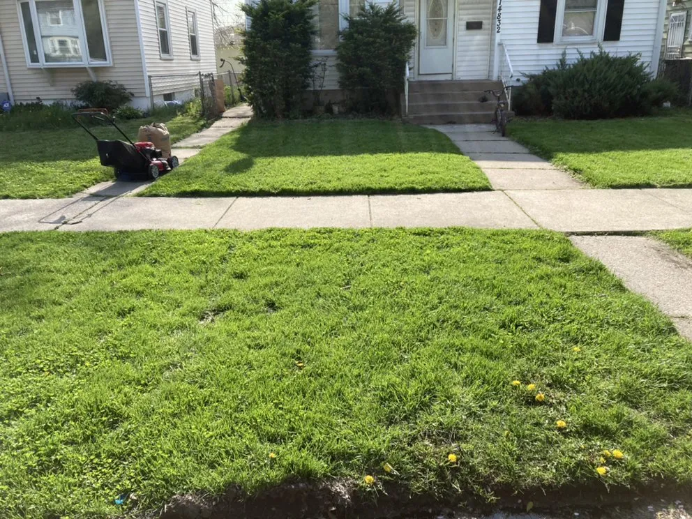 Expert lawn mowing service for beautiful yards in Chicago, IL by Trey’s Klean Kut