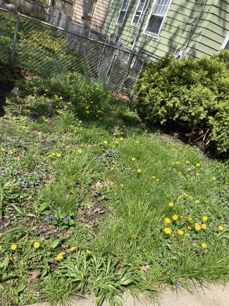 Professional residential landscaping in Chicago, IL by Trey’s Klean Kut