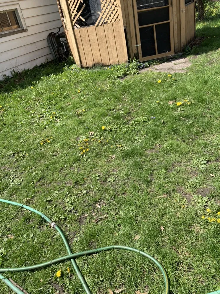 Top-rated residential landscaping in Chicago, IL - Trey’s Klean Kut