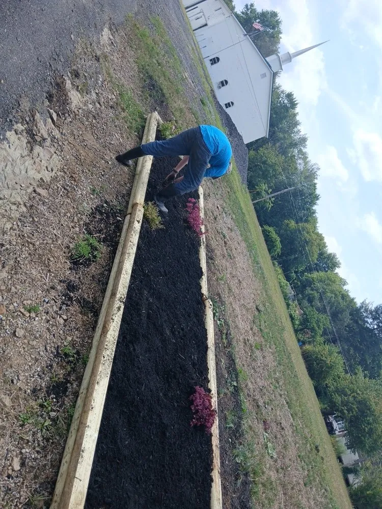 Professional lawn mowing service for beautiful yards across Reynoldsville, PA - Treys Landscaping