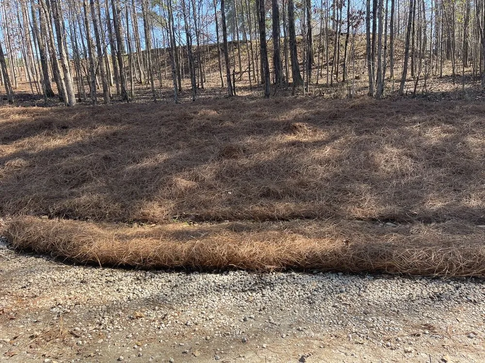 Custom outdoor landscaping experts serving Evans, GA - Trey’s Lawn Care