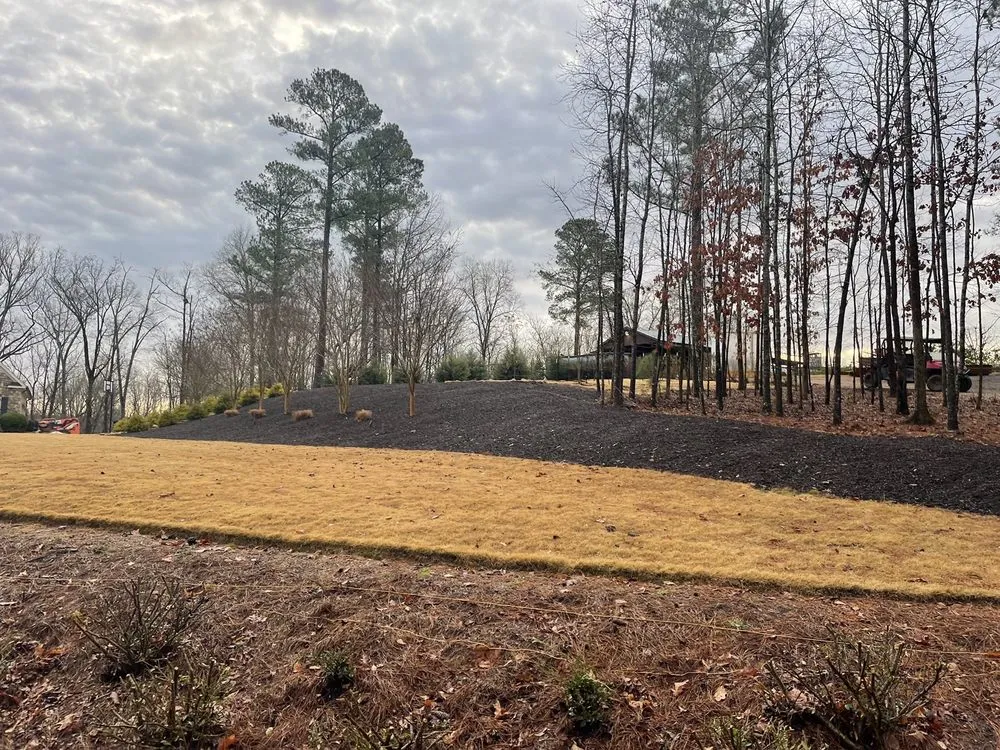 Custom lawn care service experts serving Evans, GA - Trey’s Lawn Care