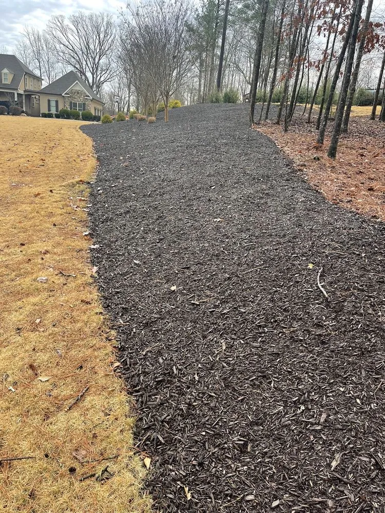 Trusted residential landscaping for residential properties in Evans, GA by Trey’s Lawn Care