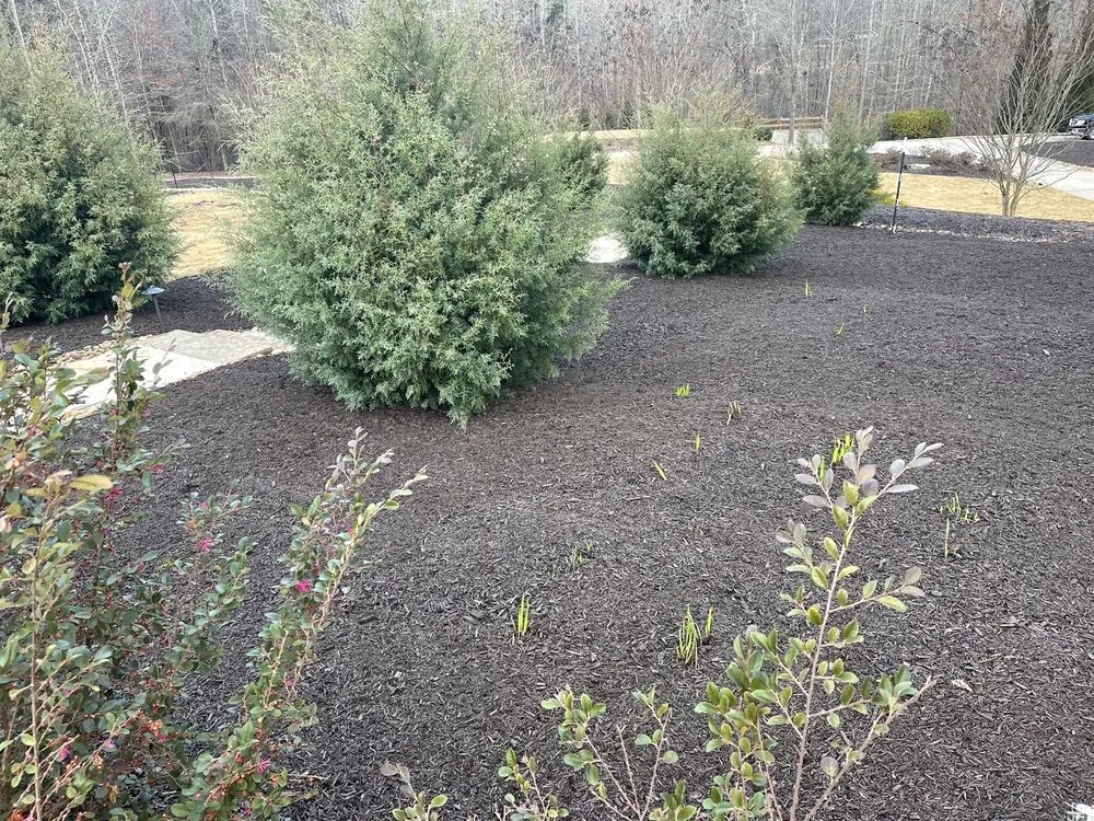 Expert residential landscaping in Evans, GA by Trey’s Lawn Care