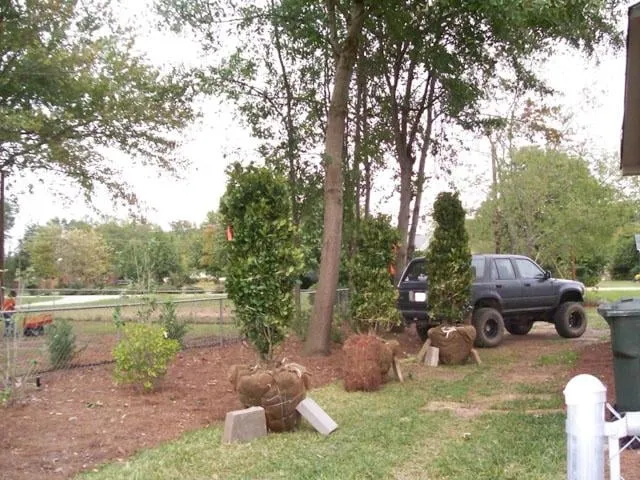 Custom lawn mowing service in Macon, GA - Trey's Lawn Service