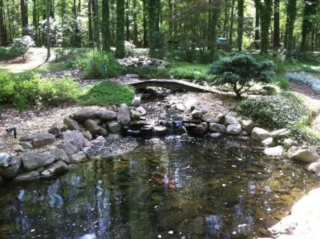 Expert yard maintenance with custom design in Macon, GA by Trey's Lawn Service