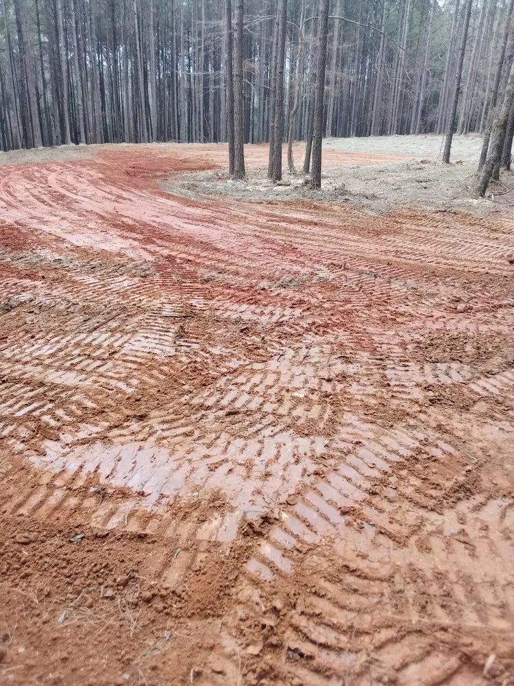 Custom lawn care service experts serving Carthage, MS - Treys Pressure Washing