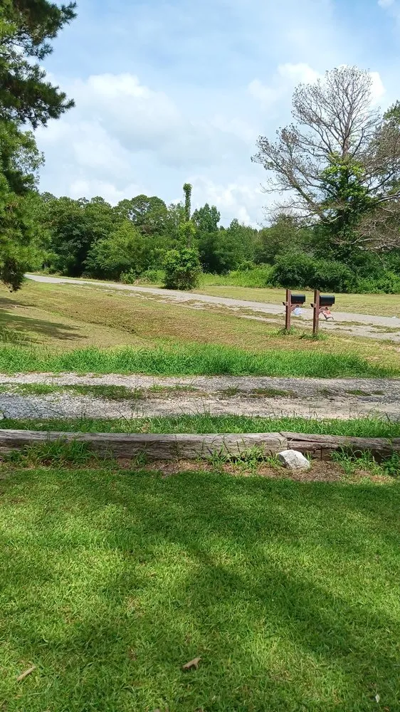 Professional lawn care service experts serving Carthage, MS - Treys Pressure Washing