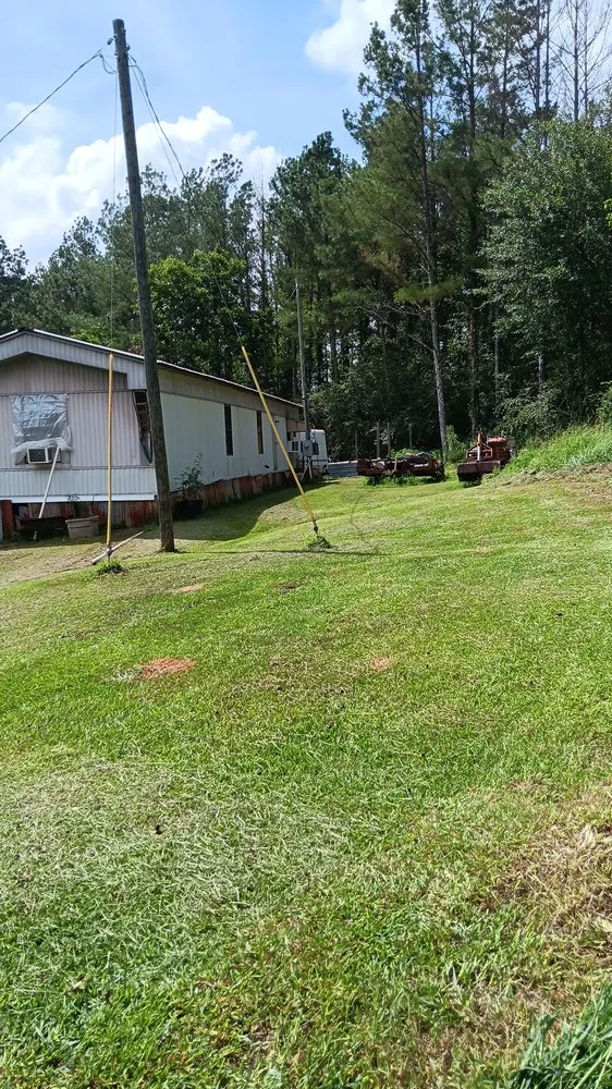 Top-rated outdoor landscaping in Carthage, MS - Treys Pressure Washing