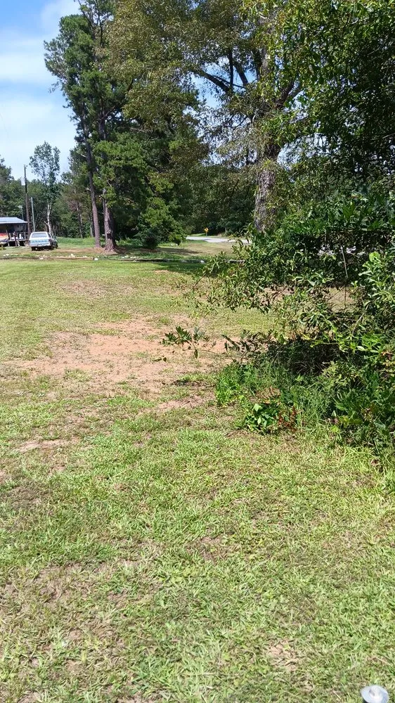 Affordable yard maintenance in Carthage, MS by Treys Pressure Washing