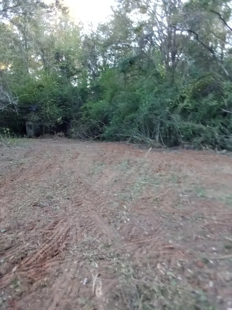 Top-rated lawn care service in Carthage, MS by Treys Pressure Washing