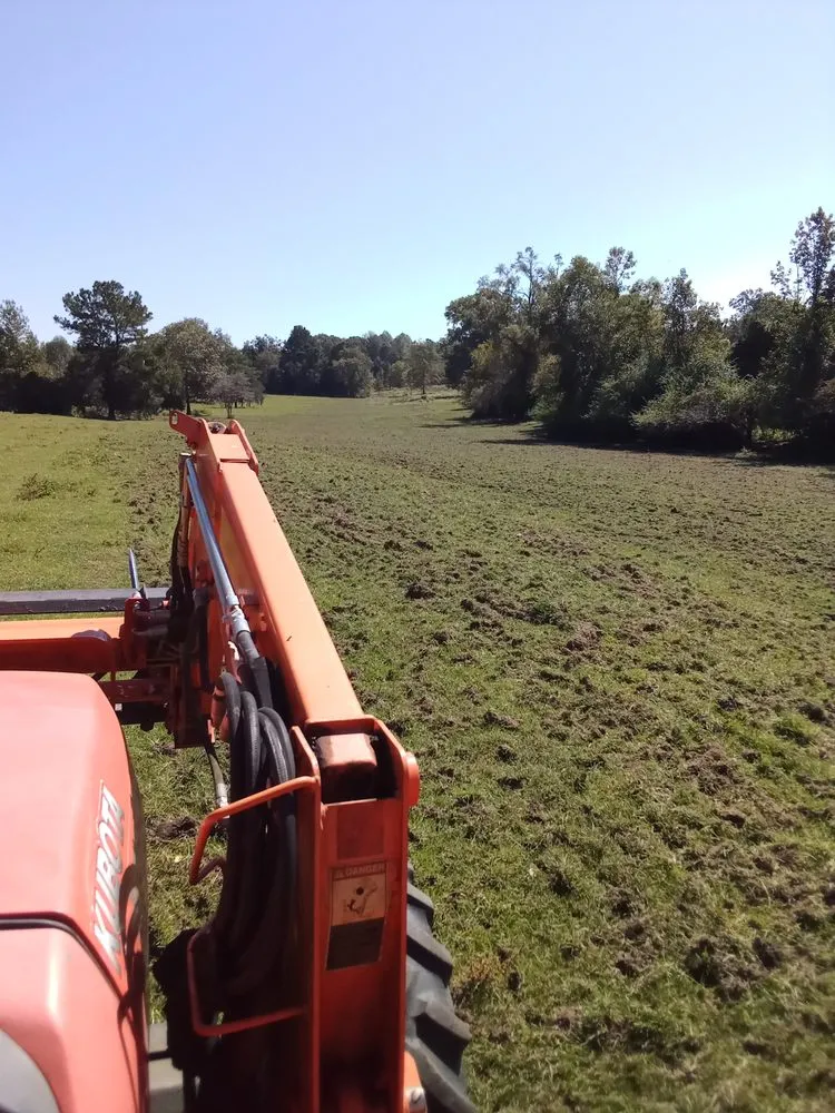Trusted residential landscaping in Carthage, MS - Treys Pressure Washing