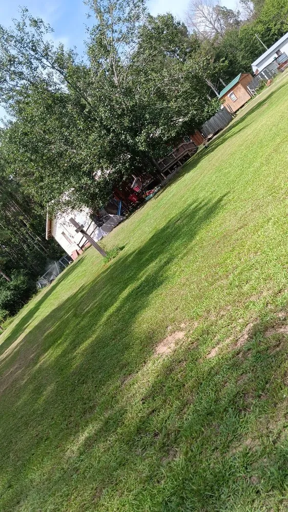 Local yard cleanup service in Carthage, MS by Treys Pressure Washing