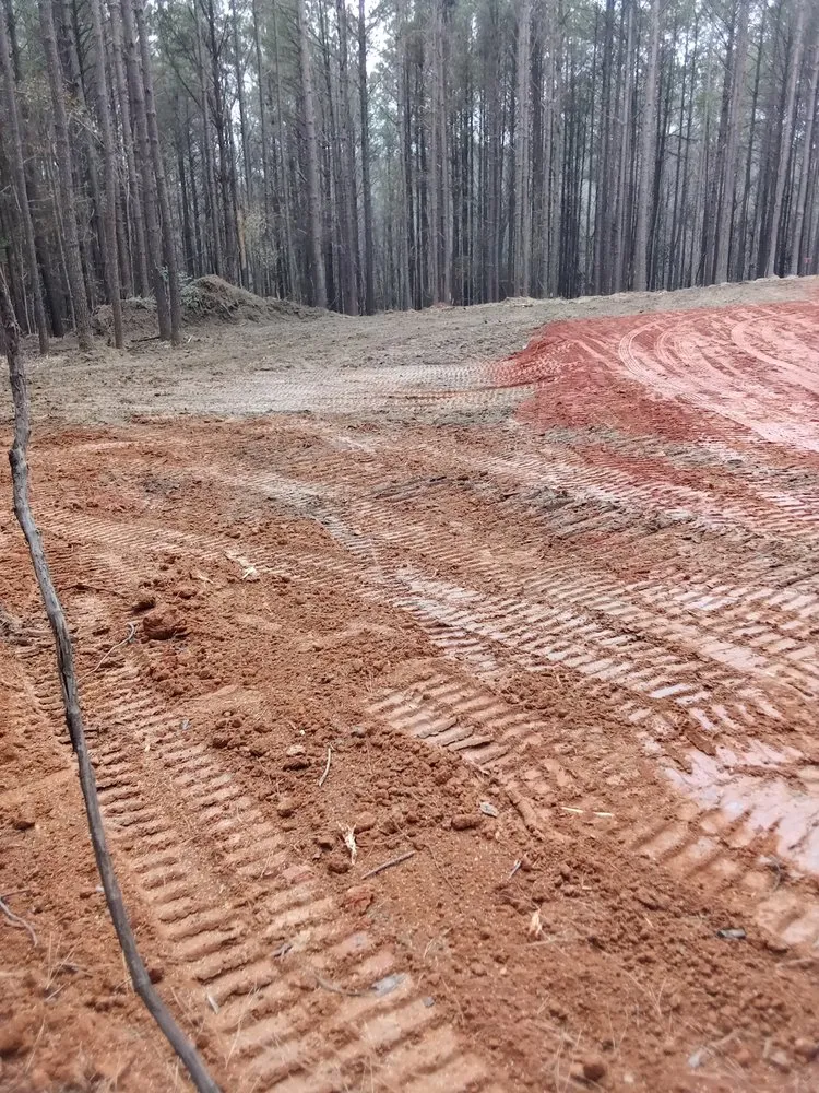 Reliable residential landscaping in Carthage, MS by Treys Pressure Washing