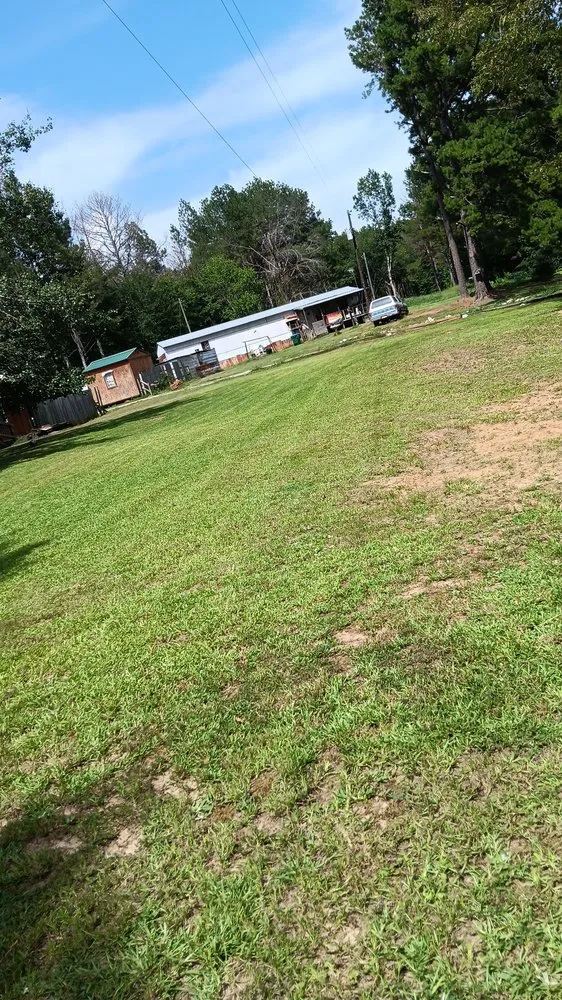 Professional outdoor landscaping in Carthage, MS - Treys Pressure Washing