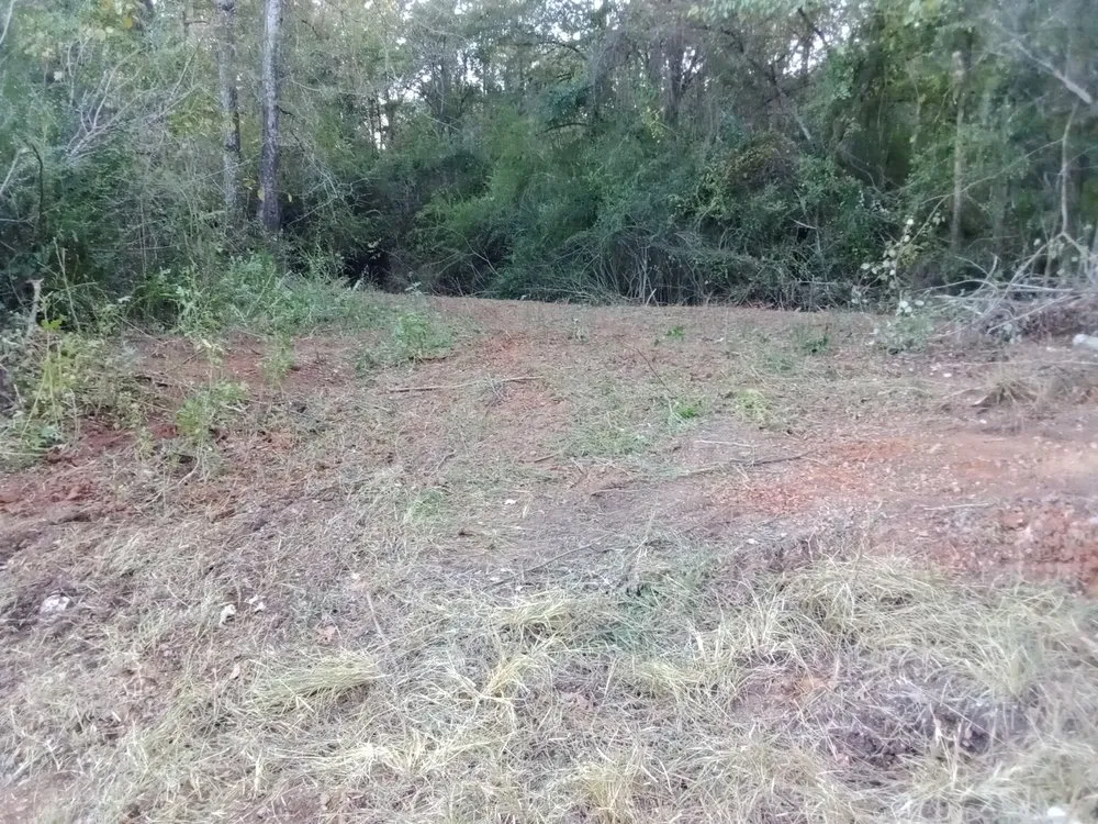 Professional outdoor landscaping for year-round maintenance in Carthage, MS by Treys Pressure Washing