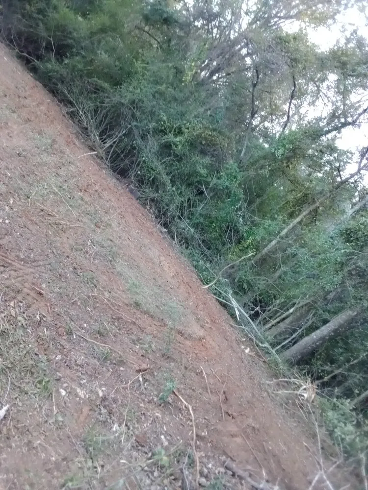 Affordable yard maintenance in Carthage, MS - Treys Pressure Washing