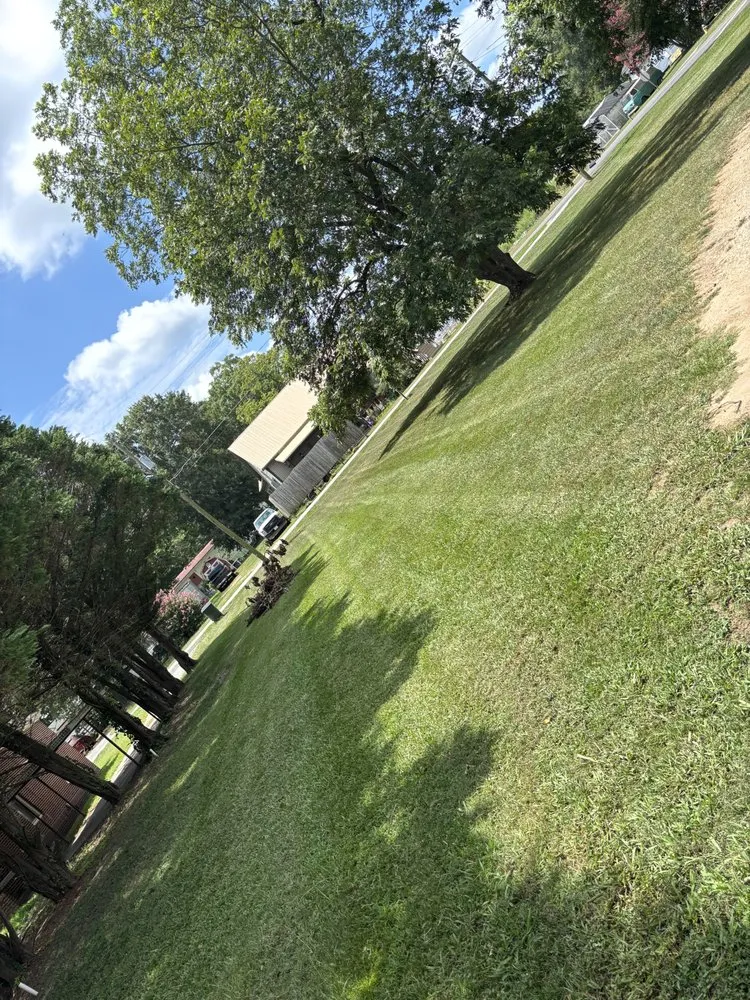 Trusted landscaping services for residential properties across Elberton, GA - Treys Total Care Services